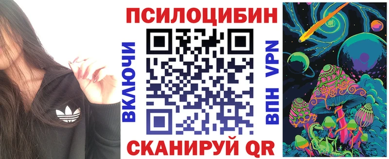 mega онион  Ишим  Псилоцибиновые грибы GOLDEN TEACHER 